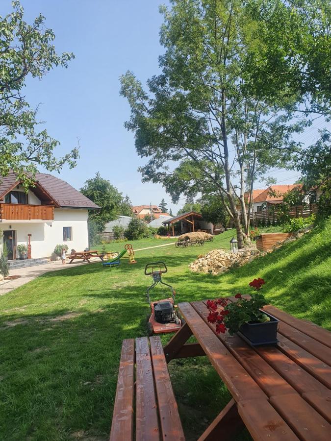Pensiunea Transilvania Ковасна Екстер'єр фото